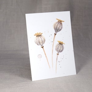 Postal 'Cápsulas de semillas de amapola'