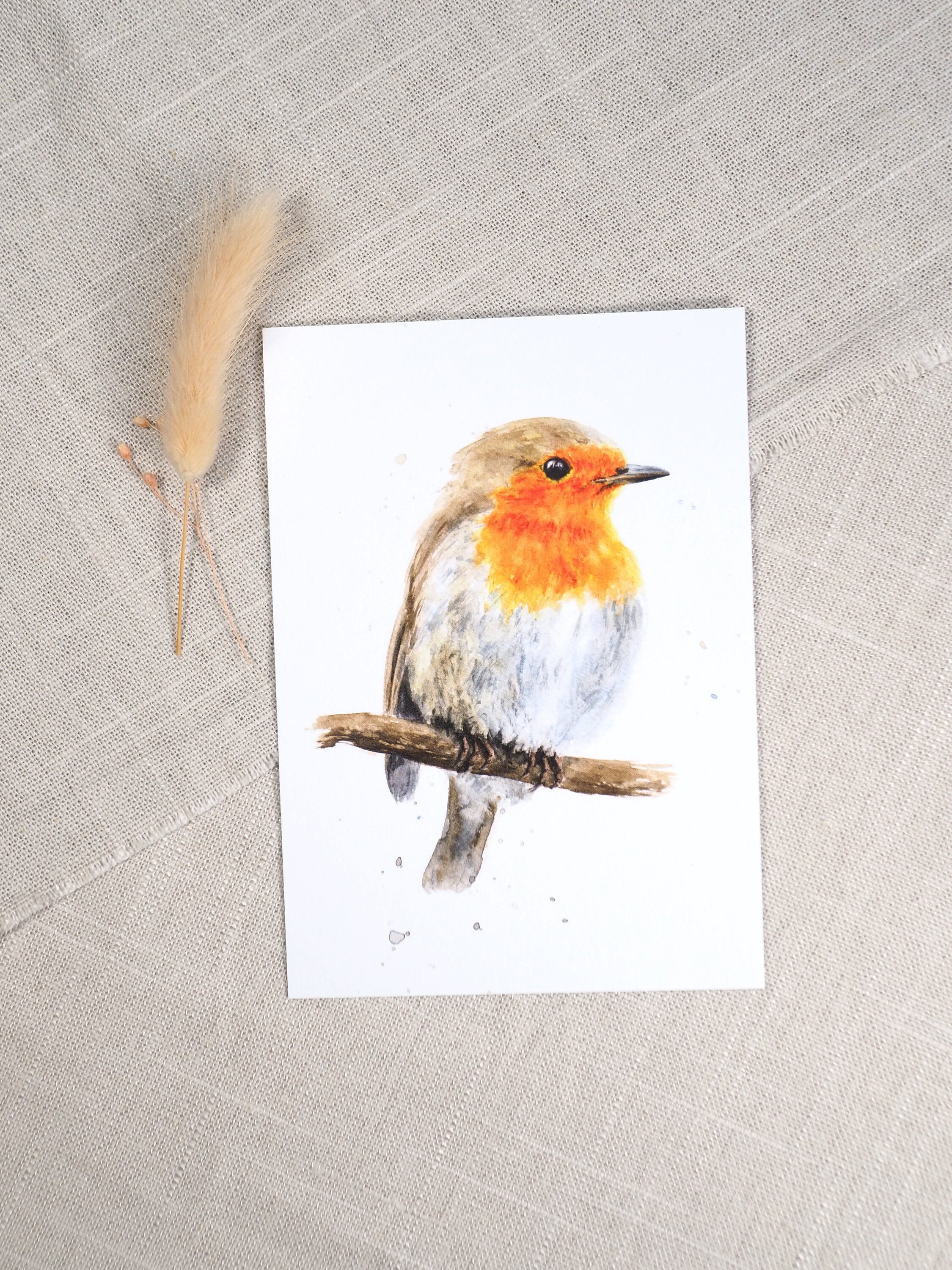 Robin Postcard / Bird Card / Watercolor Postcard - Etsy Canada