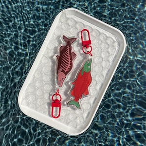 Salmon Charm