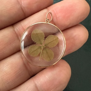 May include: A circular pendant featuring a dried, light brown four-leaf clover encased in clear resin. The clover is framed by a thin, metallic gold-coloured rim and includes a small, matching gold-coloured jump ring at the top for attachment to a chain.