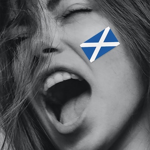 SCOTLAND Flag Temp tattoos. Euro championships, football, face flags, face tattoos, Scotland, Scottish flag