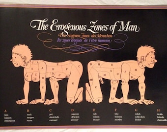 Erogenous Zones Of Man 1973 Poster Minerva Copenhagen