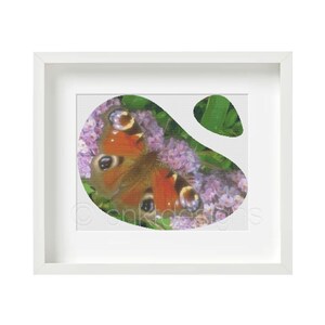 Cross Stitch Pattern Peacock Butterfly (Droplet), Butterfly Cross Stitch Pattern, Counted Cross Stitch Pattern, Modern Cross Stitch Pattern