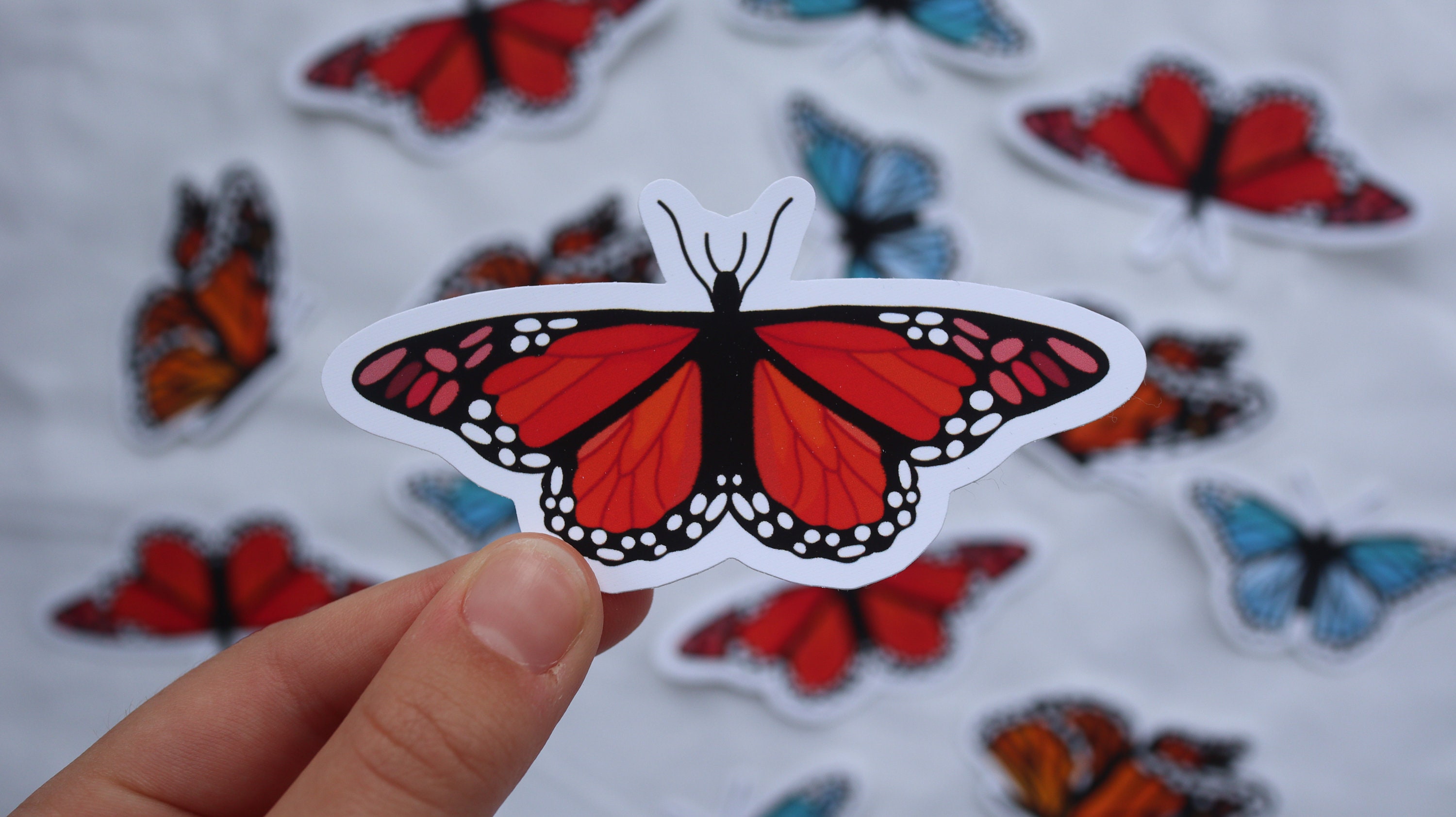Brights butterflies sticker pack weather resistant matte Etsy
