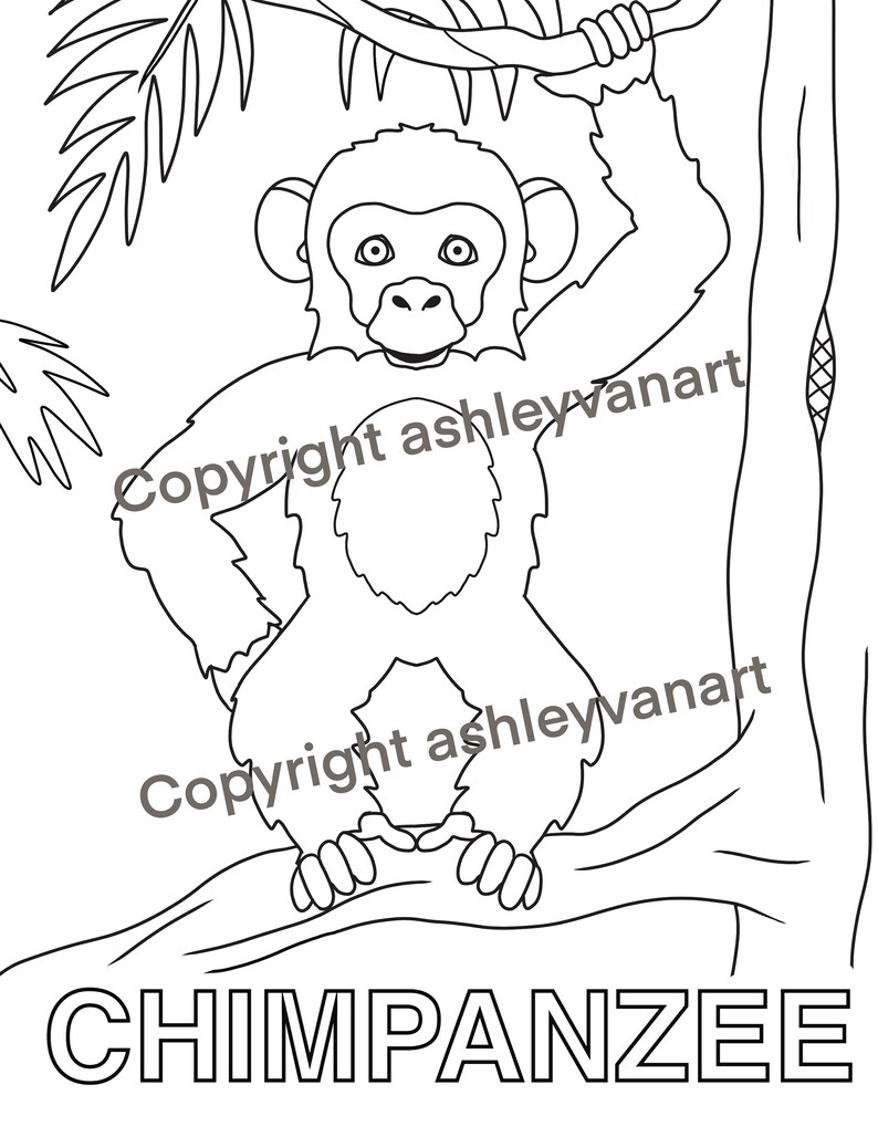 May include: Black and white line drawing of a chimpanzee hanging from a tree branch. The word "CHIMPANZEE" is printed in large block letters at the bottom. The image includes a copyright notice.