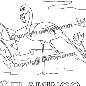May include: A black and white line drawing of a flamingo standing in water, with the word "FLAMINGO" in a bold font beneath. The image also features floral and plant details.
