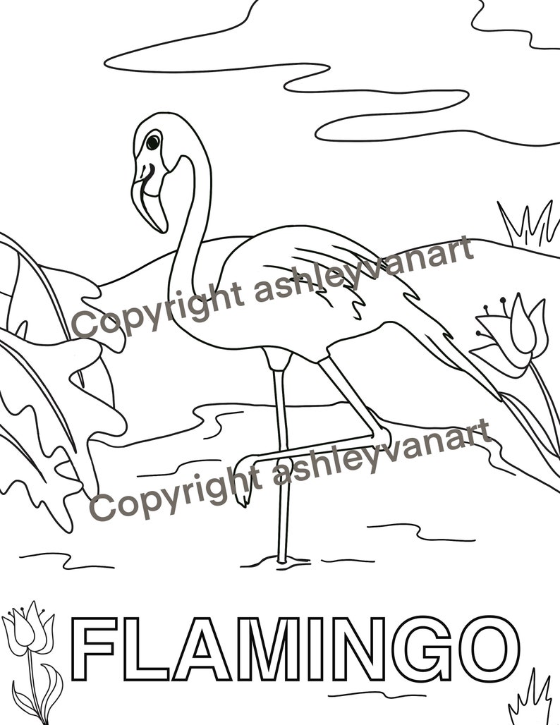 May include: A black and white line drawing of a flamingo standing in water, with the word "FLAMINGO" in a bold font beneath. The image also features floral and plant details.