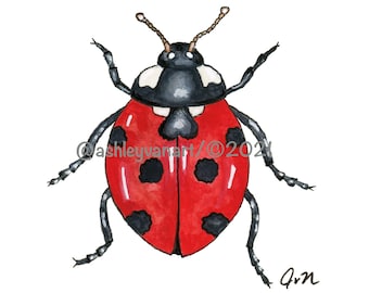 Ladybug, ladybug watercolor, bug art, bug print, ladybug print, watercolor painting, insect art, insect print, insect watercolor, painting