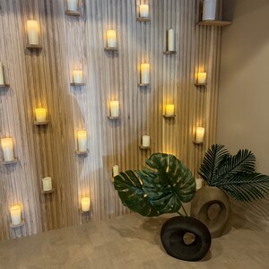 May include: A wall with wood paneling and a variety of white candles on shelves. There are two potted plants in the foreground, one with large green leaves and the other with smaller green leaves.