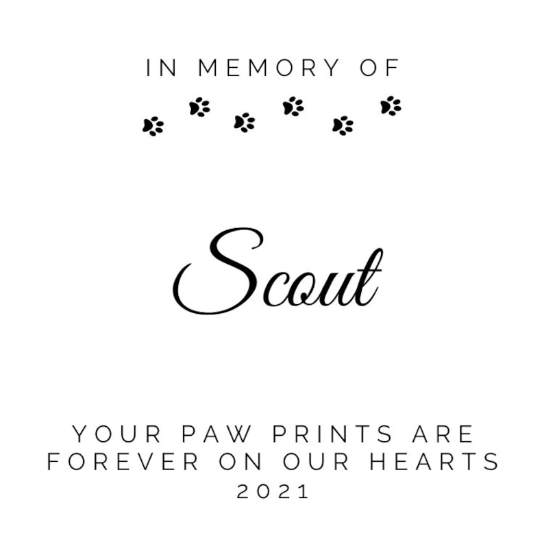 Pet Memorial Candle, Pet Sympathy, Gift for Pet Memorial, Pet Loss, Dog Loss, Cat Loss image 4