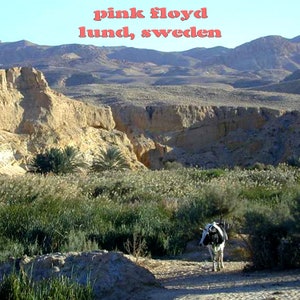 Pink Floyd 2 CD Set Akademiska Live In Lund Sweden 1970 Roger Waters David Gilmour