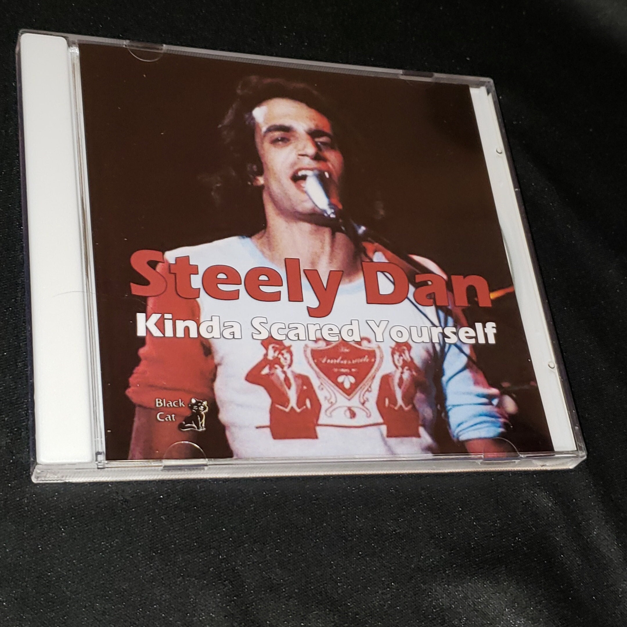 Steely・DanとDonald・Fagen 9CD （うち国内盤 7枚） STEELY DAN