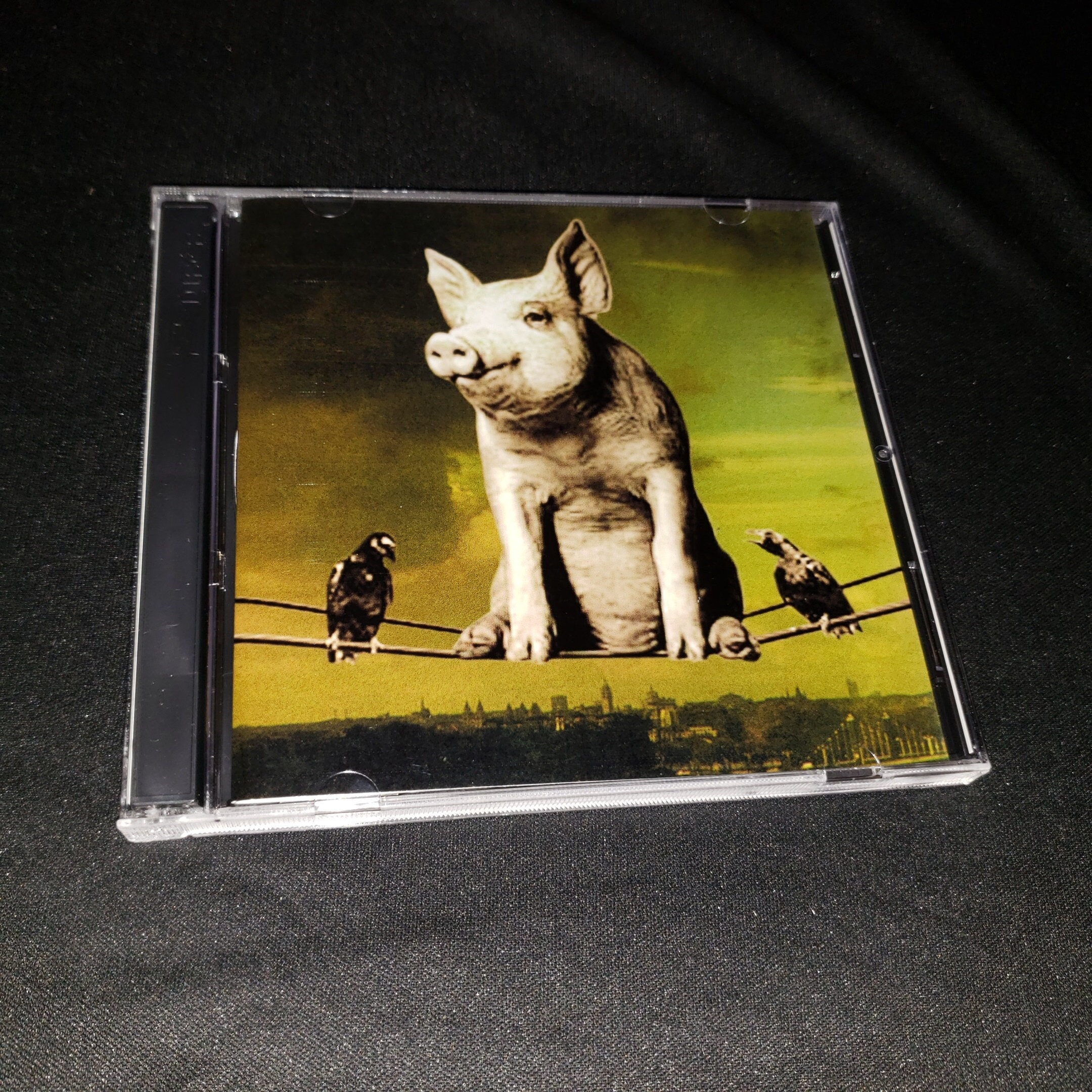 Pink Floyd Live 2 CD Trained Not to Spit on the Fan Montreal 77