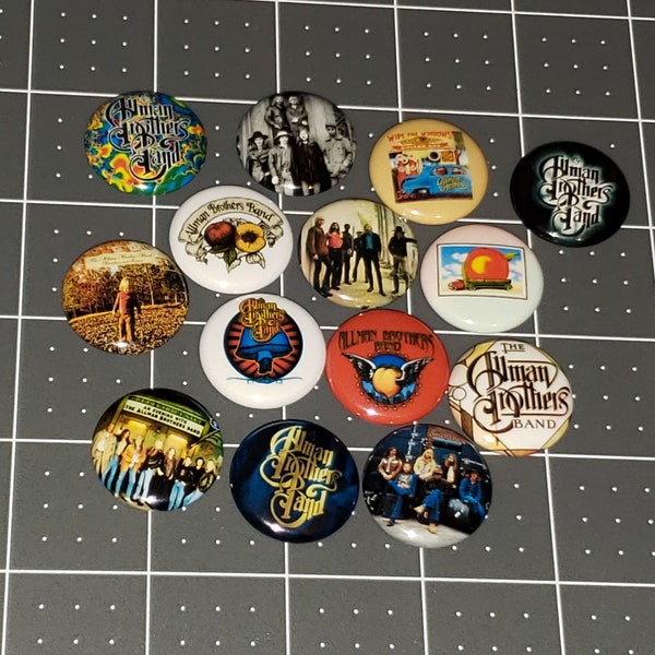 14 Allman Brothers Band Buttons 1 Inch Pin Mini Vinyl LP Button Pins Gregg