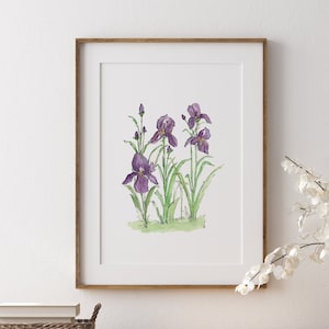 Purple Bearded Iris Wall Art, Loose Watercolor Purple Iris Print, Modern Floral Home Decor, Botanical Print Mother's Day Gift, Iris Painting