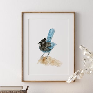 Steller&#39;s Jay Art Print, Bird Art, Bird Wall Decor, Steller Jay, Blue Jay Wall Art, Wall Decor, Bird Home Decor, Bird Painting