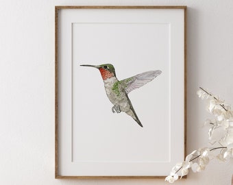 Hummingbird Watercolor Print, Bird Painting, Hummingbird Art, Hummingbird Wall Decor, Bird Wall Art