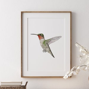 Hummingbird Watercolor Print, Bird Painting, Hummingbird Art, Hummingbird Wall Decor, Bird Wall Art