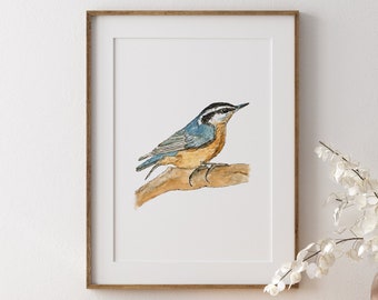 Red-Breasted Nuthatch Watercolor Print: Bird Wall Art
