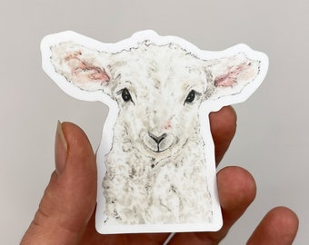 May include: A white lamb sticker with a fluffy coat and a sweet expression. The lamb has pink ears and black eyes. The sticker is on a white background.