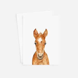 Horse Card - baby horse card - minimal pony card - minimal baby shower card - minimal animal baby shower card