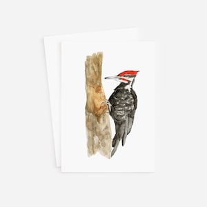 Pileated Woodpecker Blank Card, Bird Card, Birthday Card, Blank Greeting Card, Nature Card, Kids Birthday Card, Retirement Card
