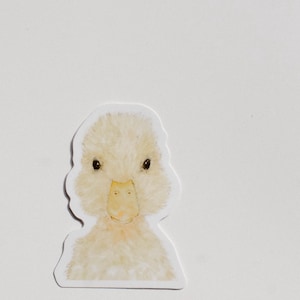 Duck Vinyl Sticker, Sticker, Waterproof Sticker, Duckling Sticker, Waterbottle sticker, car decal, laptop sticker, bumper sticker