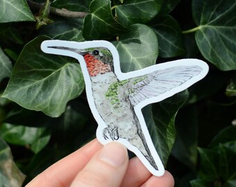 Puede incluir: Una pegatina de un colibrí en vuelo. El colibrí es verde, gris y rojo con un pico largo. La pegatina está sobre un fondo blanco.