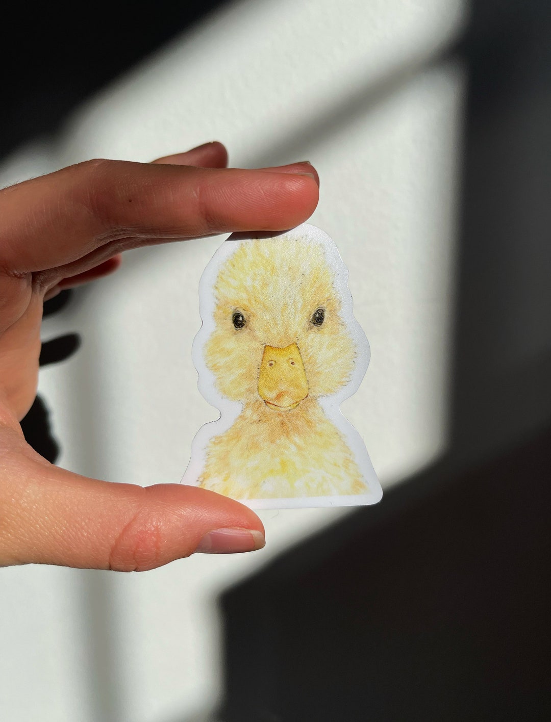 Duck Vinyl Sticker, Sticker, Waterproof Sticker, Duckling Sticker ...