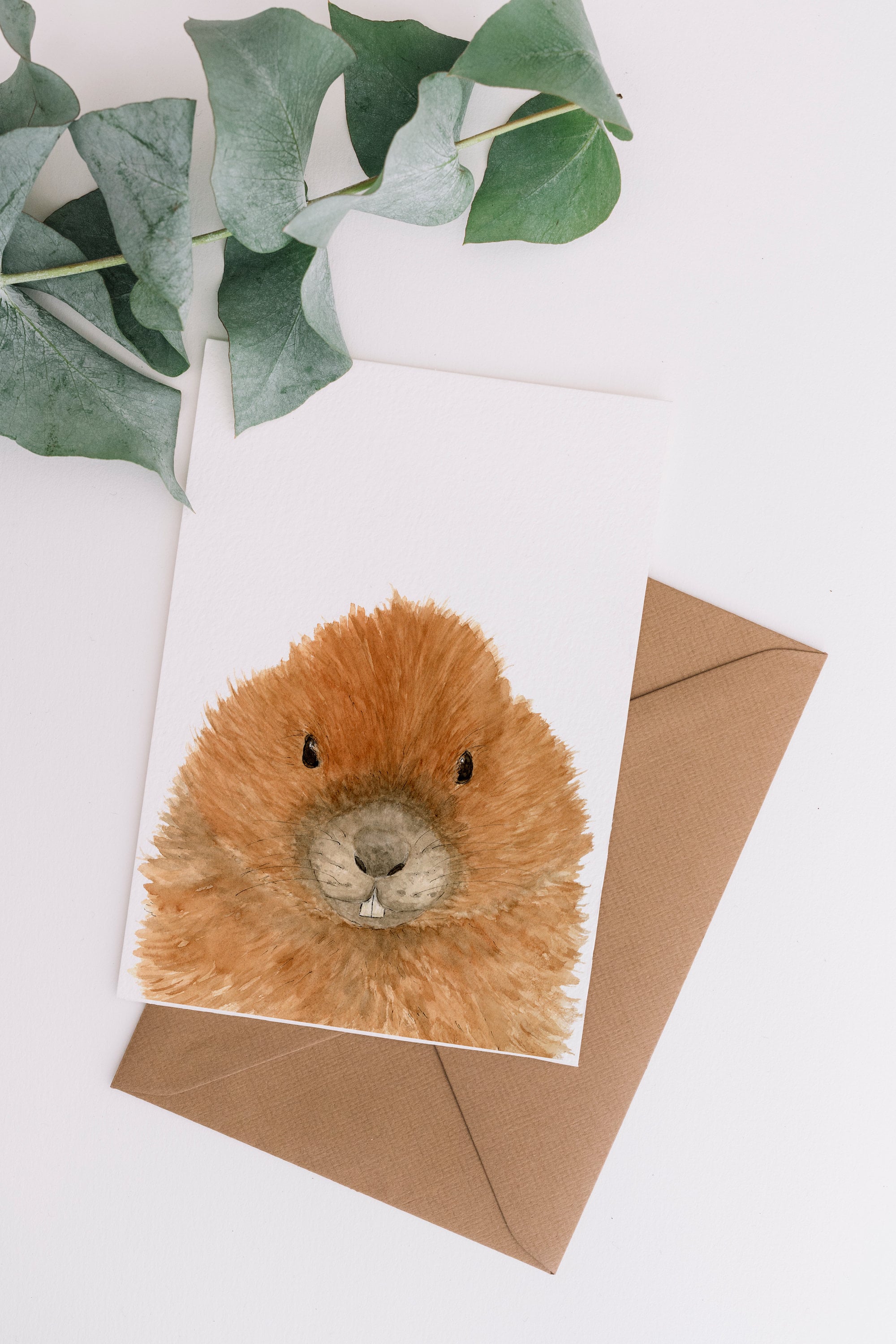 Beaver Greeting Card - Beaver Artwork - Funny Card - Canadian Made - Etsy