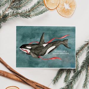 Orca Christmas Card, Killer Whale, Christmas Card, Christmas Card Set, Holiday Card