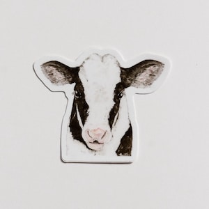 Cow Vinyl Sticker, Calf Sticker, Cow Decal, Farm Sticker, Waterproof sticker, sticker, stickers, vinyl decal, bumper sticker