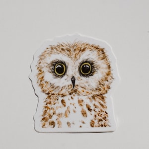 Owl Vinyl Sticker, Owl Decal, Owl Sticker, Waterproof Sticker, Waterbottle sticker, car decal, laptop sticker, bumper sticker