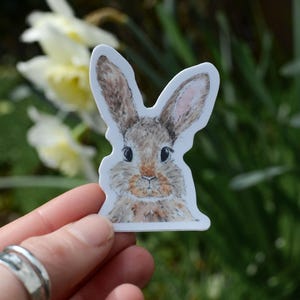Bunny Vinyl Sticker, Rabbit Sticker, Bunny Decal, Waterproof Sticker, Waterbottle sticker, car decal, laptop sticker, bumper sticker