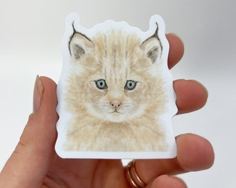 May include: A close-up of a sticker featuring a watercolor illustration of a lynx kitten with light brown fur and blue eyes.