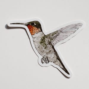 Pegatina de vinilo de colibrí, calcomanía de colibrí, pegatina, pegatina impermeable, pegatina para botella de agua, calcomanía para auto, pegatina para laptop, pegatina para parachoques