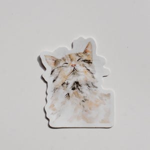 Cat Vinyl Sticker, Cat Decal, Kitty Sticker, Waterproof Sticker, Waterbottle sticker, car decal, laptop sticker, bumper sticker