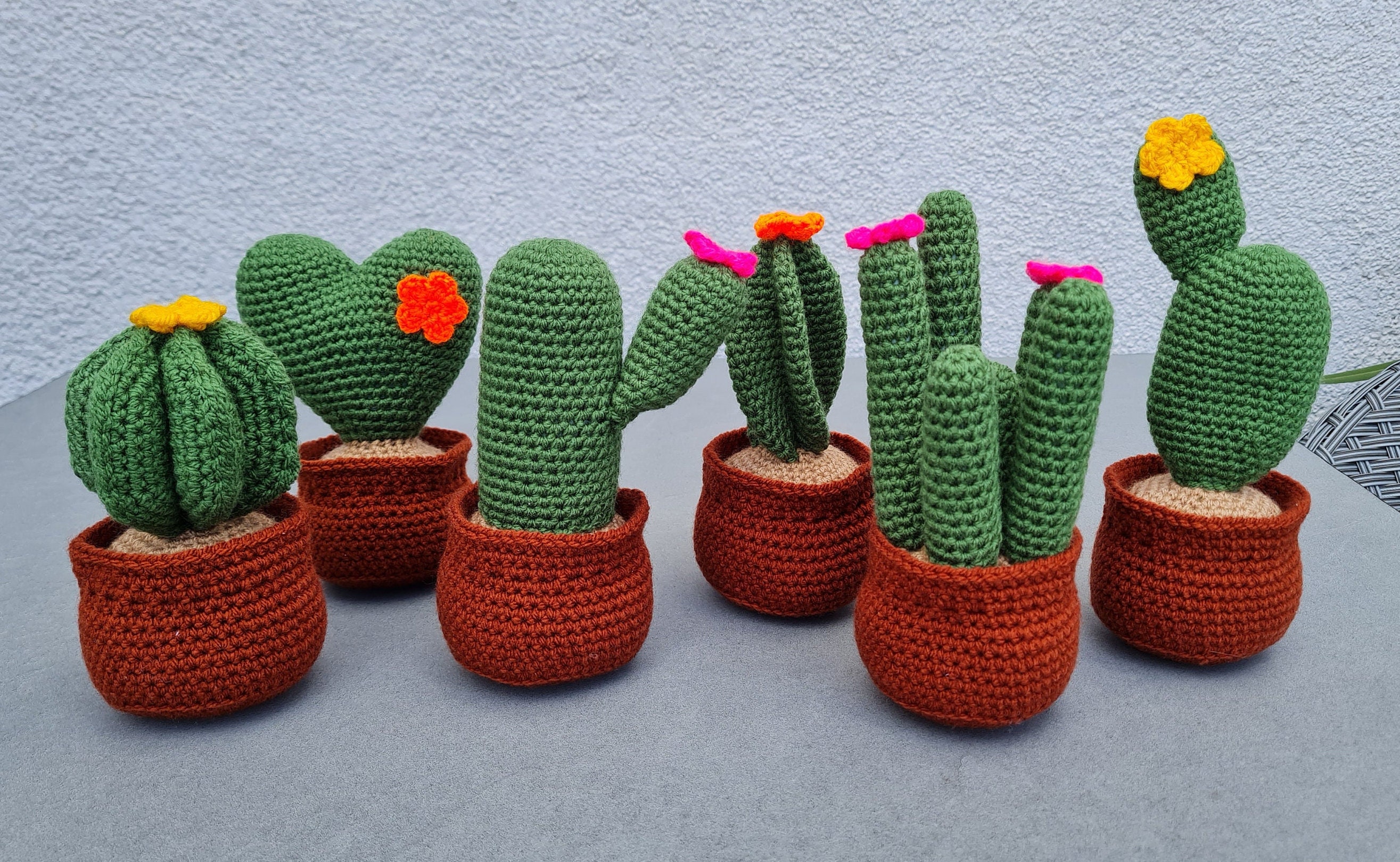 Mini Kaktus, Deko-Kakteen im Topf 3-6 cm Dekofigur Tischdeko Minigarten  Hobbyfun
