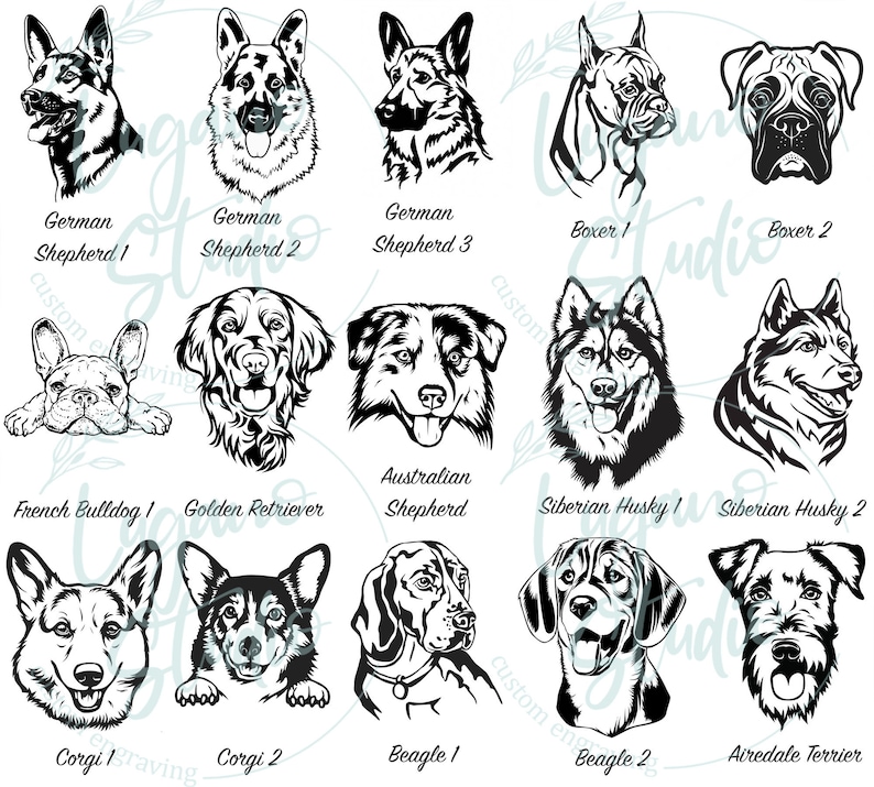 K&ouml;nnte beinhalten: Schwarz-wei&szlig;-Illustrationen verschiedener Hunderassen, darunter Deutscher Sch&auml;ferhund, Boxer, Franz&ouml;sische Bulldogge, Golden Retriever, Australian Shepherd, Siberian Husky, Corgi, Beagle und Airedale Terrier.