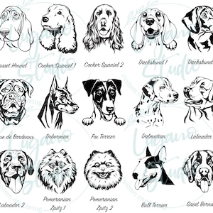 K&ouml;nnte beinhalten: Schwarz-wei&szlig;e Illustrationen verschiedener Hunderassen, darunter ein Basset Hound, ein Cocker Spaniel, ein Dackel, ein Dobermann, ein Fox Terrier, ein Dalmatiner, ein Labrador, ein Zwergspitz, ein Bullterrier und ein Bernhardiner.