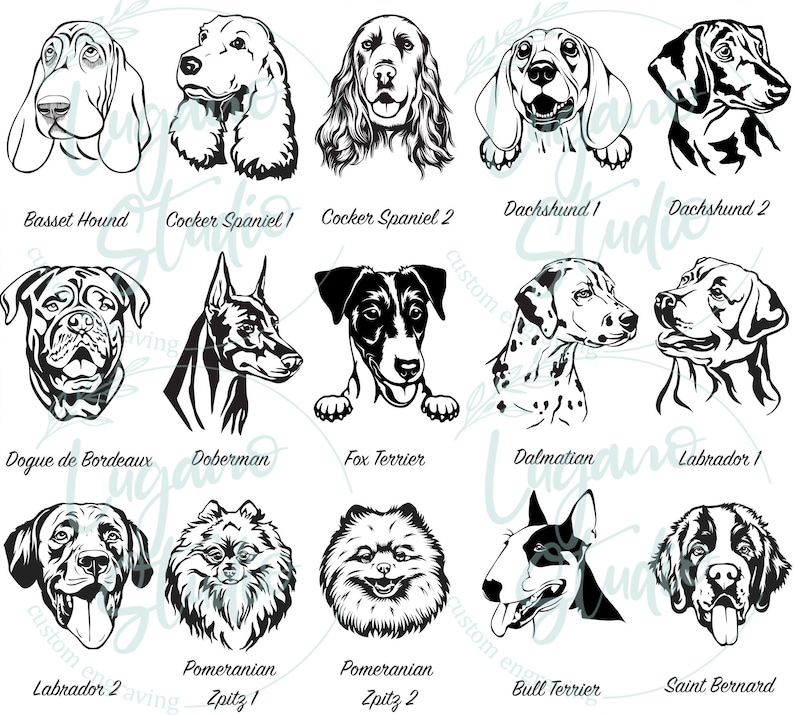 K&ouml;nnte beinhalten: Schwarz-wei&szlig;e Illustrationen verschiedener Hunderassen, darunter ein Basset Hound, ein Cocker Spaniel, ein Dackel, ein Dobermann, ein Fox Terrier, ein Dalmatiner, ein Labrador, ein Zwergspitz, ein Bullterrier und ein Bernhardiner.