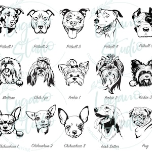 K&ouml;nnte beinhalten: Schwarz-wei&szlig;e Strichzeichnungen verschiedener Hunderassen, darunter ein Pitbull, ein Malteser, ein Shih Tzu, ein Yorkshire Terrier, ein Chihuahua, ein Irischer Setter und eine Mops.