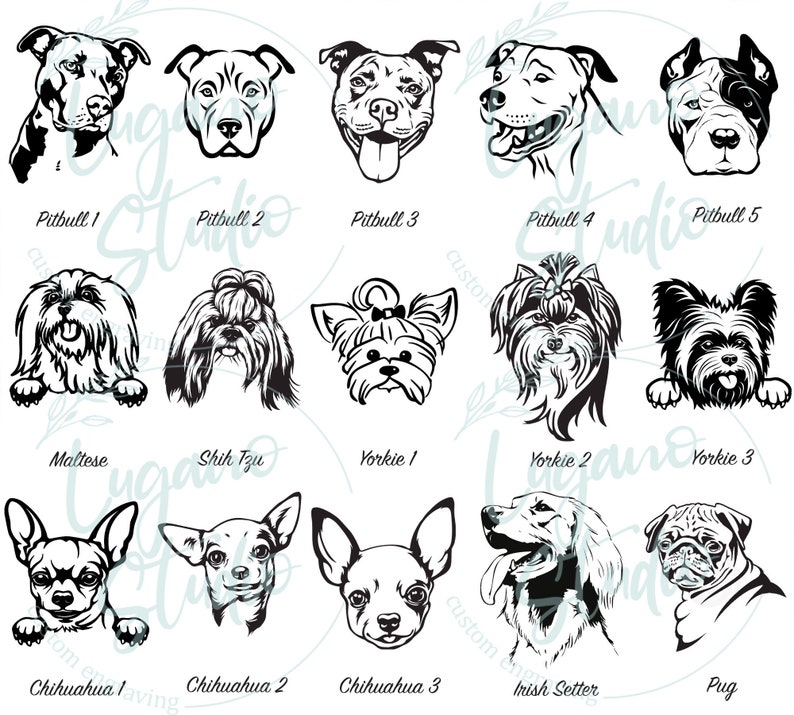 K&ouml;nnte beinhalten: Schwarz-wei&szlig;e Strichzeichnungen verschiedener Hunderassen, darunter ein Pitbull, ein Malteser, ein Shih Tzu, ein Yorkshire Terrier, ein Chihuahua, ein Irischer Setter und eine Mops.
