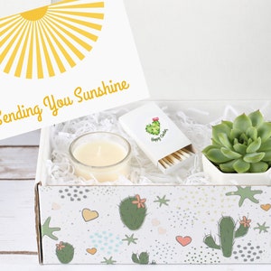 Positive Gift Box - Succulent Gift Box - Positive Energy Gift Box - Sending You Sunshine - Thinking of You Gifts - Gift That Grow - Custom