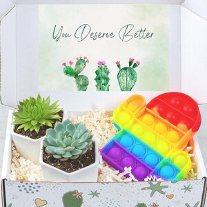 You Deserve Better Gift Box- Breakup Care Package- Cheer Up Gift Box- Break Up Gift for Friend- Divorce Gift For Her- Succulent Gift Box