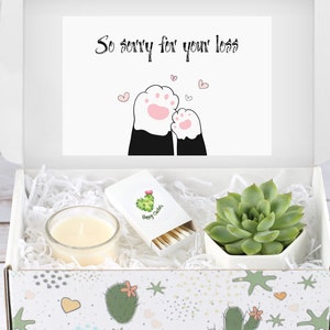 Pet Loss Gift  - Custom Pet Sympathy Gift  -  Pet Sympathy Gift - Sorry Gift Box - Live Succulent Gift -  Pet Memorial  Gift - Custom Gift