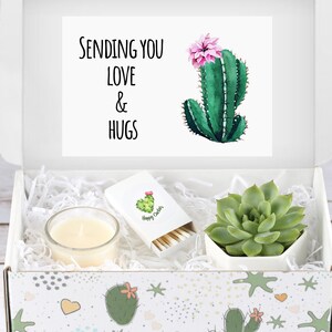 Cactus Succulent  Candle Custom Gift Set For Friends  Cute Cheer Up Care Package  Goodie Box For Family  Plant Gifts For Loved Ones