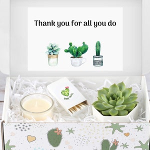 Appreciation Gift - Live Succulent Gift Box - Corporate Gifts - Coworker Gift -  Gift For Co-Workers - Thank You Gift - Custom Gift box