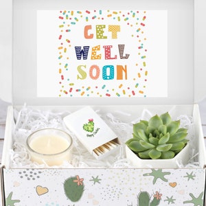Get Well Gift Box - Live Succulent Gift - Hospital Care Gift - Thinking of You Gift - Care Package Gift Set - Surgery Gift Box - Custom Gift
