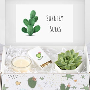 Surgery Succs Package, Get Well Care Package, Feel Better Soon Succulent Gift Box, Gift For Sick Friend, Cheer Up Gift, Hospital Care Gift